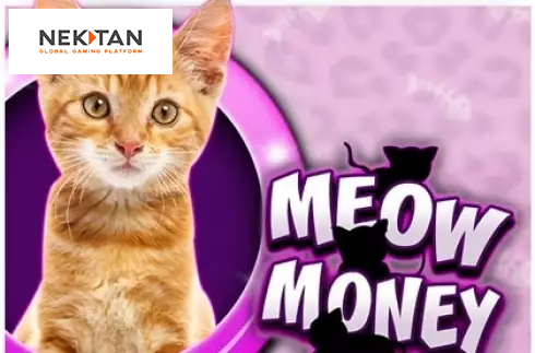 Meow Money